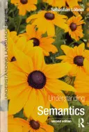 Capire la semantica - Understanding Semantics