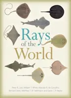 I raggi del mondo - Rays of the World