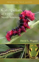 Bruchi del Nord America orientale: Guida all'identificazione e alla storia naturale - Caterpillars of Eastern North America: A Guide to Identification and Natural History