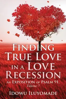 Trovare il vero amore in una recessione amorosa - Finding True Love in a Love Recession