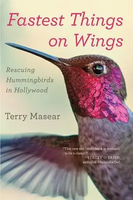 Le cose più veloci sulle ali: Salvataggio dei colibrì a Hollywood - Fastest Things on Wings: Rescuing Hummingbirds in Hollywood