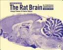 Il cervello di ratto in coordinate stereotassiche - The Rat Brain in Stereotaxic Coordinates
