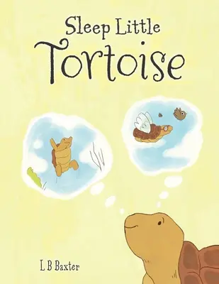 La tartaruga del sonno - Sleep Little Tortoise