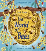 Guarda il mondo delle api - Look Inside the World of Bees