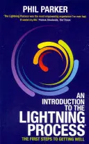 Introduzione al processo di fulminazione - An Introduction to the Lightning Process