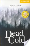 Freddo mortale Livello 2 - Dead Cold Level 2