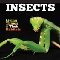 Insetti - Insects