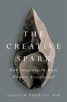 La scintilla creativa: Come l'immaginazione ha reso gli esseri umani eccezionali - The Creative Spark: How Imagination Made Humans Exceptional