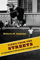 Viste dalla strada: La trasformazione delle bande e della violenza nel South Side di Chicago - Views from the Streets: The Transformation of Gangs and Violence on Chicago's South Side