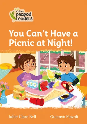 Livello 4 - Non si può fare un picnic di notte! - Level 4 - You Can't Have a Picnic at Night!
