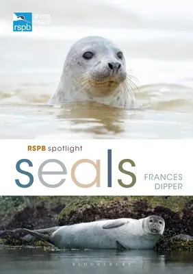 Rspb Focaie da riflettore - Rspb Spotlight Seals