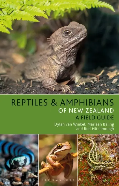 Rettili e anfibi della Nuova Zelanda - Reptiles and Amphibians of New Zealand