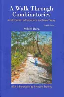 Passeggiata in combinatoria, A: Introduzione all'enumerazione e alla teoria dei grafi (Terza edizione) - Walk Through Combinatorics, A: An Introduction to Enumeration and Graph Theory (Third Edition)