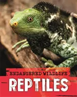 Animali selvatici in pericolo: Salvataggio dei rettili - Endangered Wildlife: Rescuing Reptiles