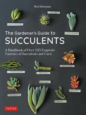 La guida del giardiniere alle succulente: Un manuale di oltre 125 squisite varietà di succulente e cactus - The Gardener's Guide to Succulents: A Handbook of Over 125 Exquisite Varieties of Succulents and Cacti