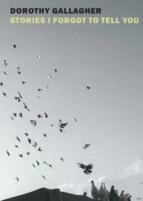Le storie che ho dimenticato di raccontarti - Stories I Forgot to Tell You