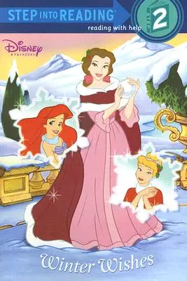 Desideri d'inverno (Principessa Disney) - Winter Wishes (Disney Princess)