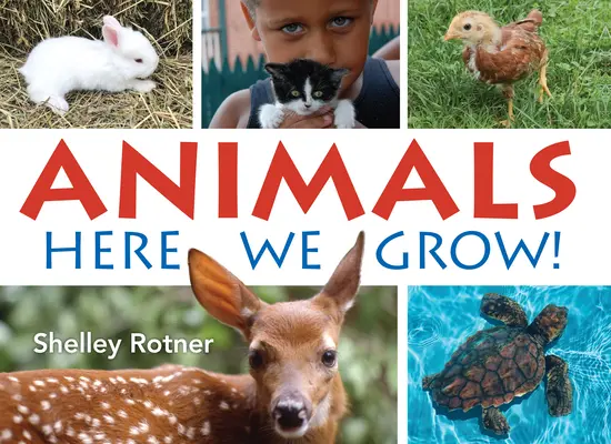 Animali! Qui cresciamo - Animals!: Here We Grow