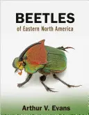 Coleotteri del Nord America orientale - Beetles of Eastern North America