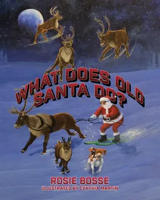 Cosa fa il vecchio Babbo Natale? - What Does Old Santa Do?