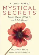 Un piccolo libro di segreti mistici: Rumi, Shams di Tabriz e il sentiero dell'estasi - A Little Book of Mystical Secrets: Rumi, Shams of Tabriz, and the Path of Ecstasy