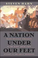 Una nazione sotto i nostri piedi: le lotte politiche dei neri nel Sud rurale dalla schiavitù alla grande migrazione - A Nation Under Our Feet: Black Political Struggles in the Rural South from Slavery to the Great Migration