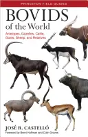 Bovidi del mondo: Antilopi, gazzelle, bovini, capre, pecore e affini - Bovids of the World: Antelopes, Gazelles, Cattle, Goats, Sheep, and Relatives