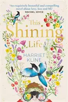 Questa vita splendente - un romanzo potente che parla di come fare tesoro della vita - This Shining Life - a powerful novel about treasuring life