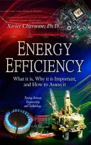 Efficienza energetica: cos'è, perché è importante e come valutarla - Energy Efficiency - What it is, Why it is Important, and How to Assess it