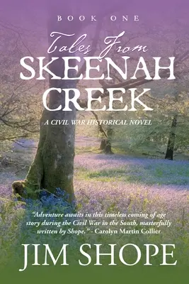 Racconti da Skeenah Creek: Un romanzo storico sulla guerra civile - Tales From Skeenah Creek: A Civil War Historical Fiction Novel