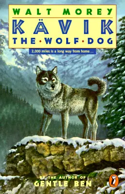 Kavik il cane lupo - Kavik the Wolf Dog
