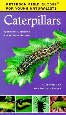 Bruchi - Caterpillars
