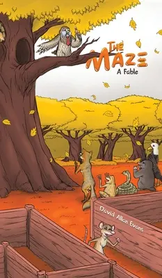 Il labirinto - The Maze