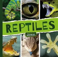 Rettili - Reptiles