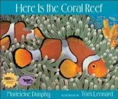 Ecco la barriera corallina - Here Is the Coral Reef
