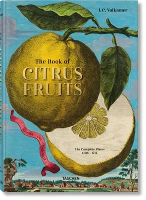 J. C. Volkamer. il libro degli agrumi - J. C. Volkamer. the Book of Citrus Fruits