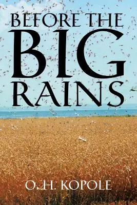 Prima delle grandi piogge - Before the Big Rains