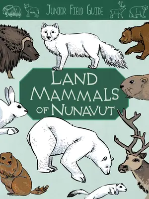 Guida da campo per ragazzi: Mammiferi terrestri: Edizione inglese - Junior Field Guide: Land Mammals: English Edition