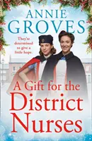 Un regalo per le infermiere del distretto (Le infermiere del distretto, libro 4) - A Gift for the District Nurses (the District Nurses, Book 4)
