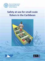 Sicurezza in mare per i piccoli pescatori nei Caraibi - Safety at sea for small-scale fishers in the Caribbean