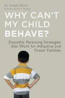 Perché mio figlio non si comporta bene? Strategie di genitorialità empatica che funzionano per le famiglie adottive e affidatarie - Why Can't My Child Behave?: Empathic Parenting Strategies That Work for Adoptive and Foster Families