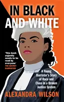In bianco e nero - La storia di un giovane avvocato sulla razza e la classe in un sistema giudiziario in crisi - In Black and White - A Young Barrister's Story of Race and Class in a Broken Justice System
