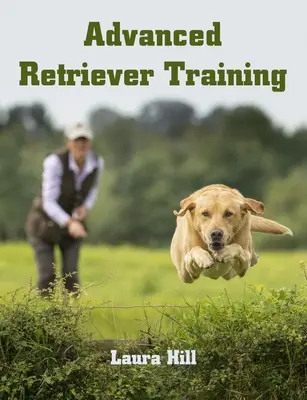Addestramento avanzato del retriever - Advanced Retriever Training