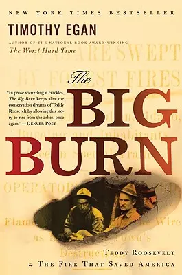 Il grande incendio: Teddy Roosevelt e il fuoco che salvò l'America - The Big Burn: Teddy Roosevelt and the Fire That Saved America