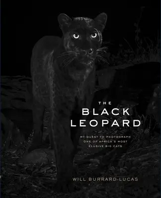 Il leopardo nero: La mia ricerca per fotografare uno dei più sfuggenti grandi felini africani - The Black Leopard: My Quest to Photograph One of Africa's Most Elusive Big Cats