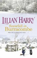 Nevicata a Burracombe - Snowfall in Burracombe