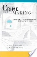 Il crimine in divenire P - Crime in the Making P