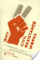 Perché la resistenza civile funziona: La logica strategica del conflitto nonviolento - Why Civil Resistance Works: The Strategic Logic of Nonviolent Conflict