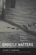 Questioni spettrali: L'ossessione e l'immaginazione sociologica - Ghostly Matters: Haunting and the Sociological Imagination