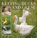 Allevare anatre e oche - Keeping Ducks and Geese